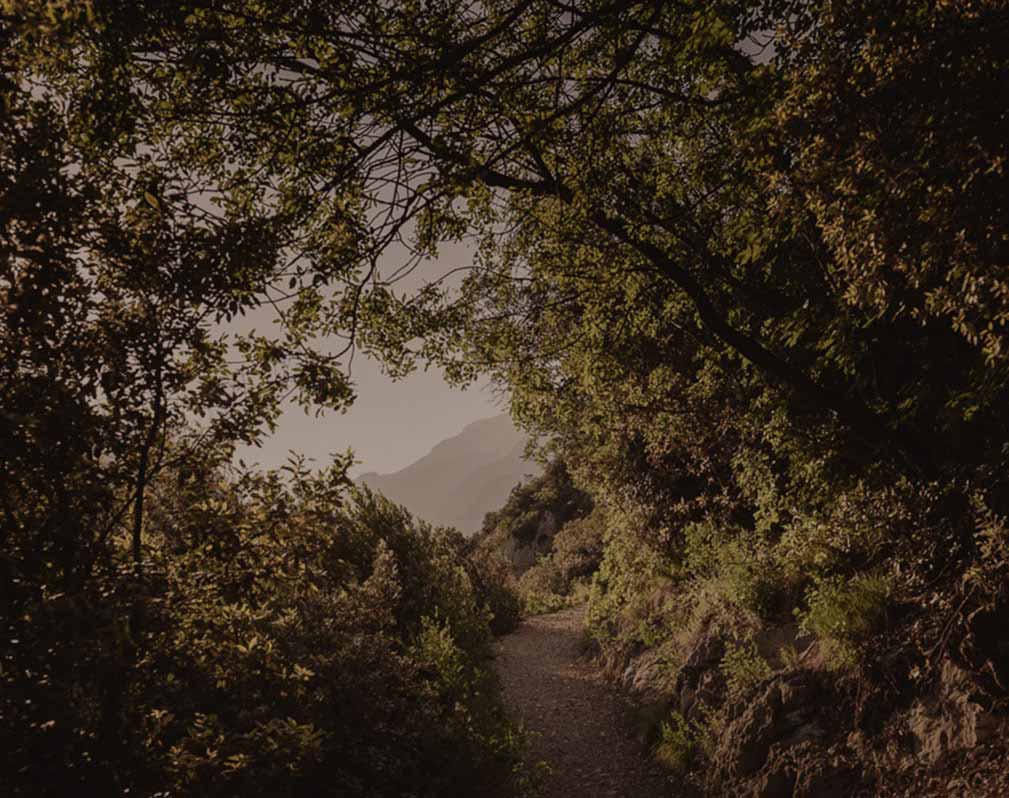 Offerte Stuff official store